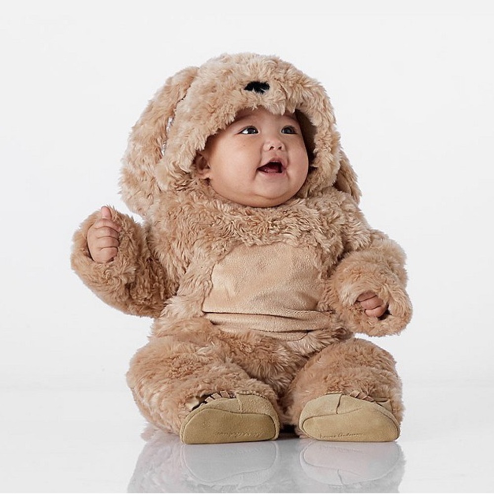 Pottery Barn Kids Dog Halloween Costume size 0-6 months